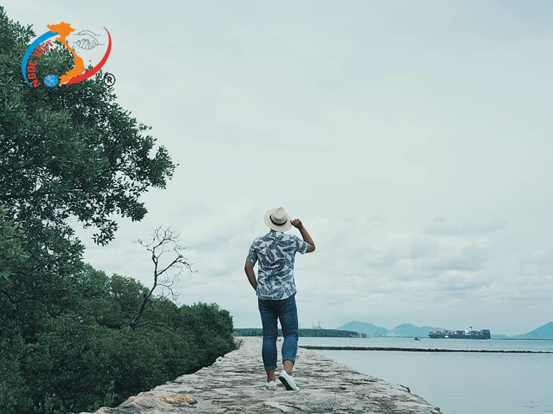 Biển đảo Thạnh An, Cần Giờ Biển đảo Thạnh An, Cần Giờ