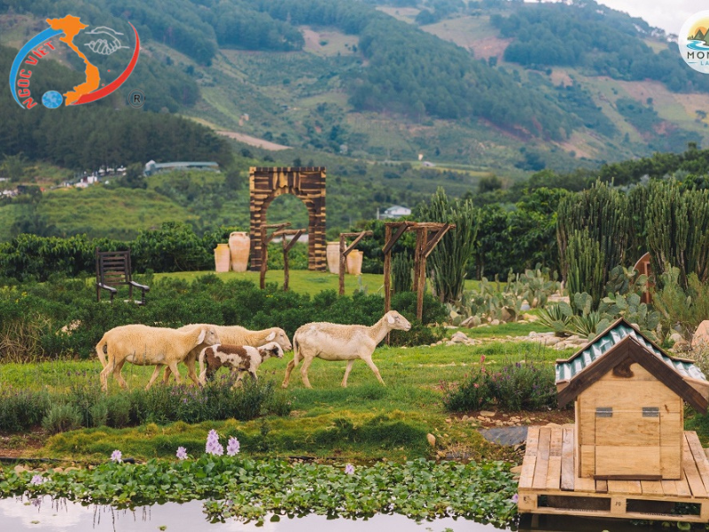 TOUR ĐÀ LẠT, TẾT BÍNH NGỌ - GIAO LƯU CỒNG CHIÊNG - MONGO LAND – KDL FRESH GARDEN - SAMTEN HILL