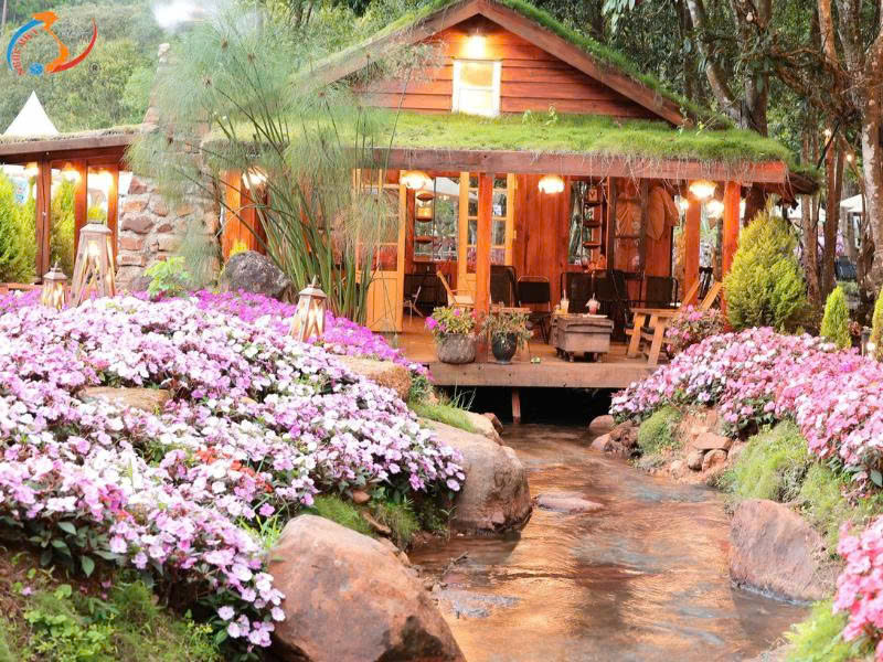 TOUR ĐÀ LẠT - THÀNH PHỐ NGÀN HOA - BESTSELLER THÁNG 10-11-12