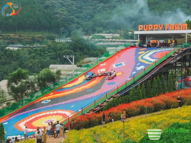 ĐÀ LẠT – TEA RESORT THÁC PRENN - NÔNG TRẠI CÚN – GOD VALLEY